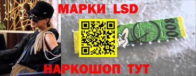 стаф Вязники