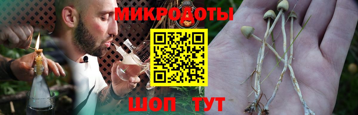 Галлюциногенные грибы GOLDEN TEACHER Вышний Волочёк