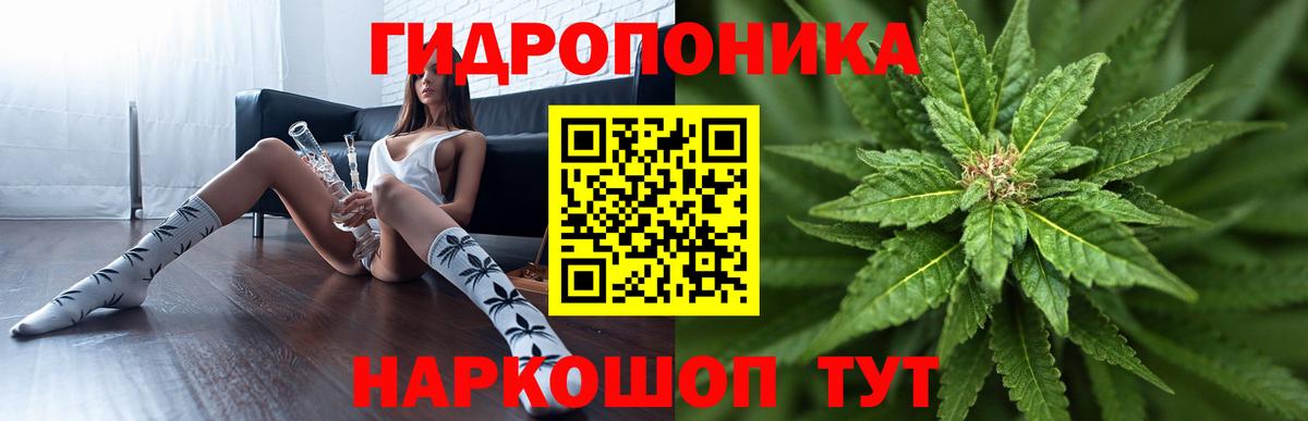 Каннабис SATIVA & INDICA Вышний Волочёк